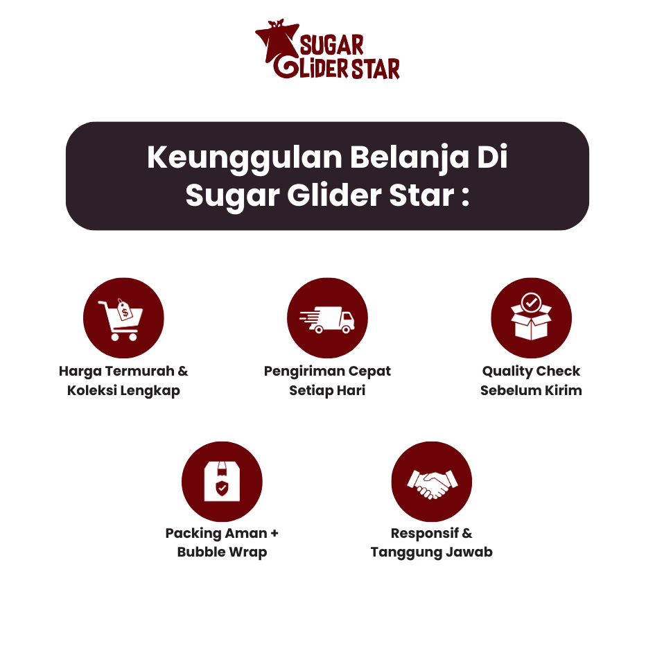 SUGAR GLIDER STAR Paket Kandang Large Perlengkapan Lengkap Pemeliharaan Sugar Glider