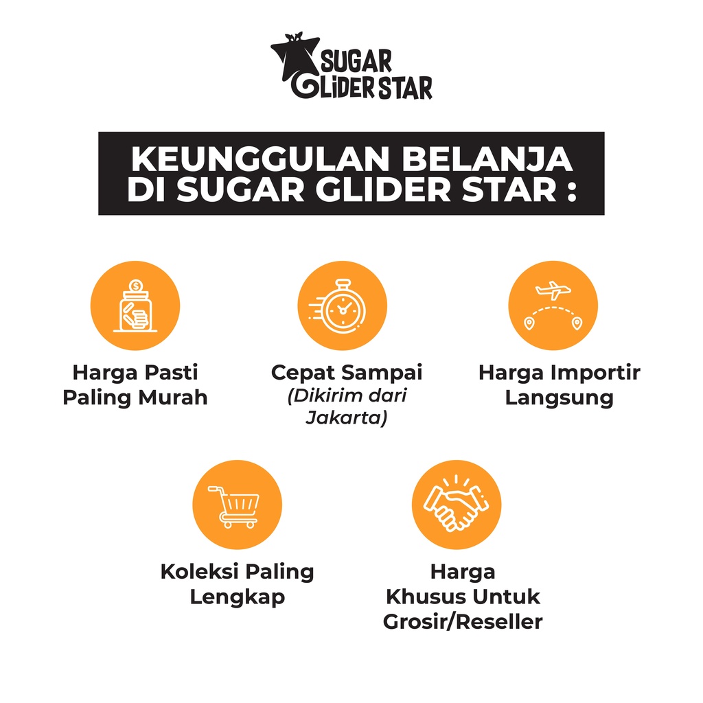 SUGAR GLIDER STAR Tempat Makan Bening Anti Tumpah Sugar Glider