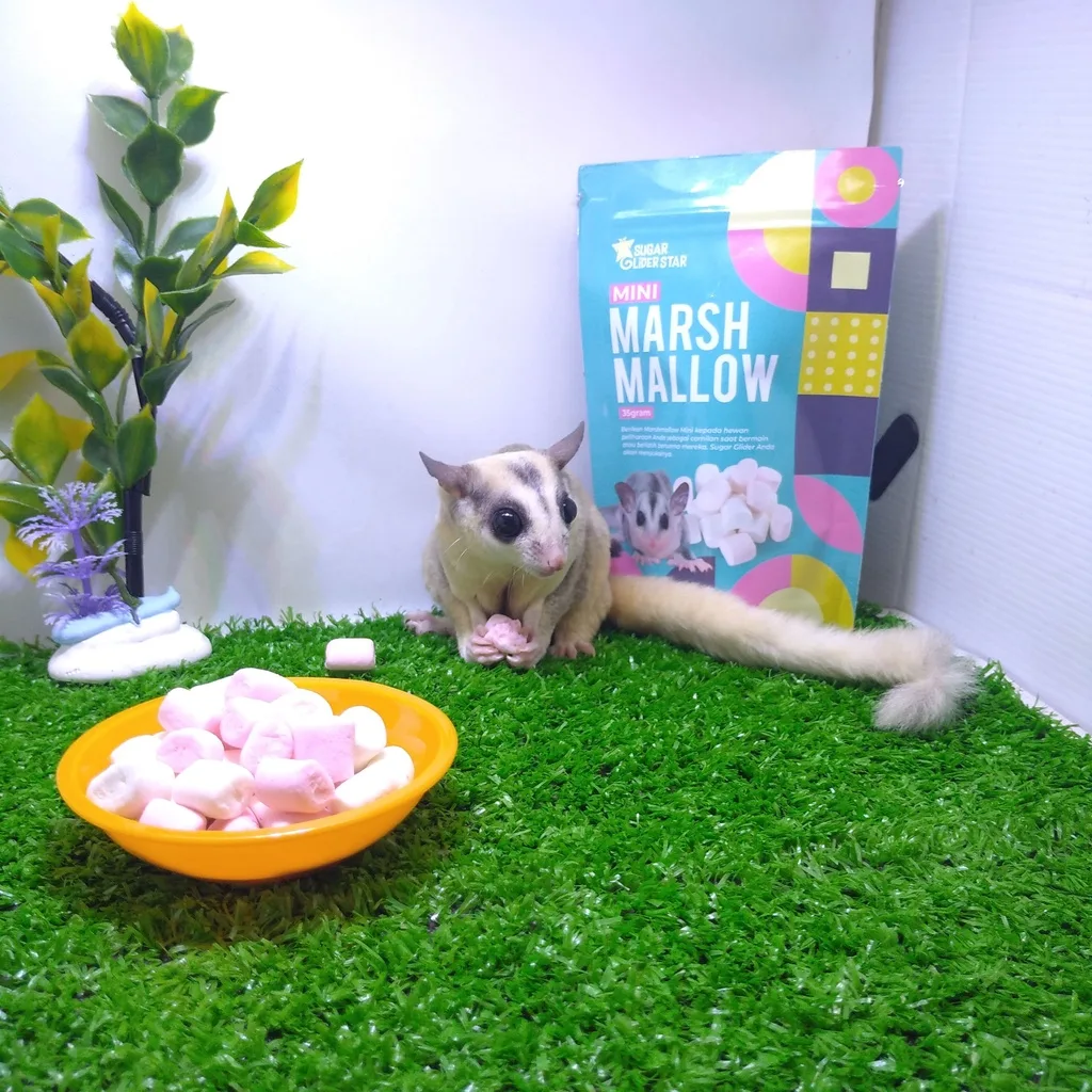 SUGAR GLIDER STAR Mini Marshmallow Cemilan Hewan Sugar Glider