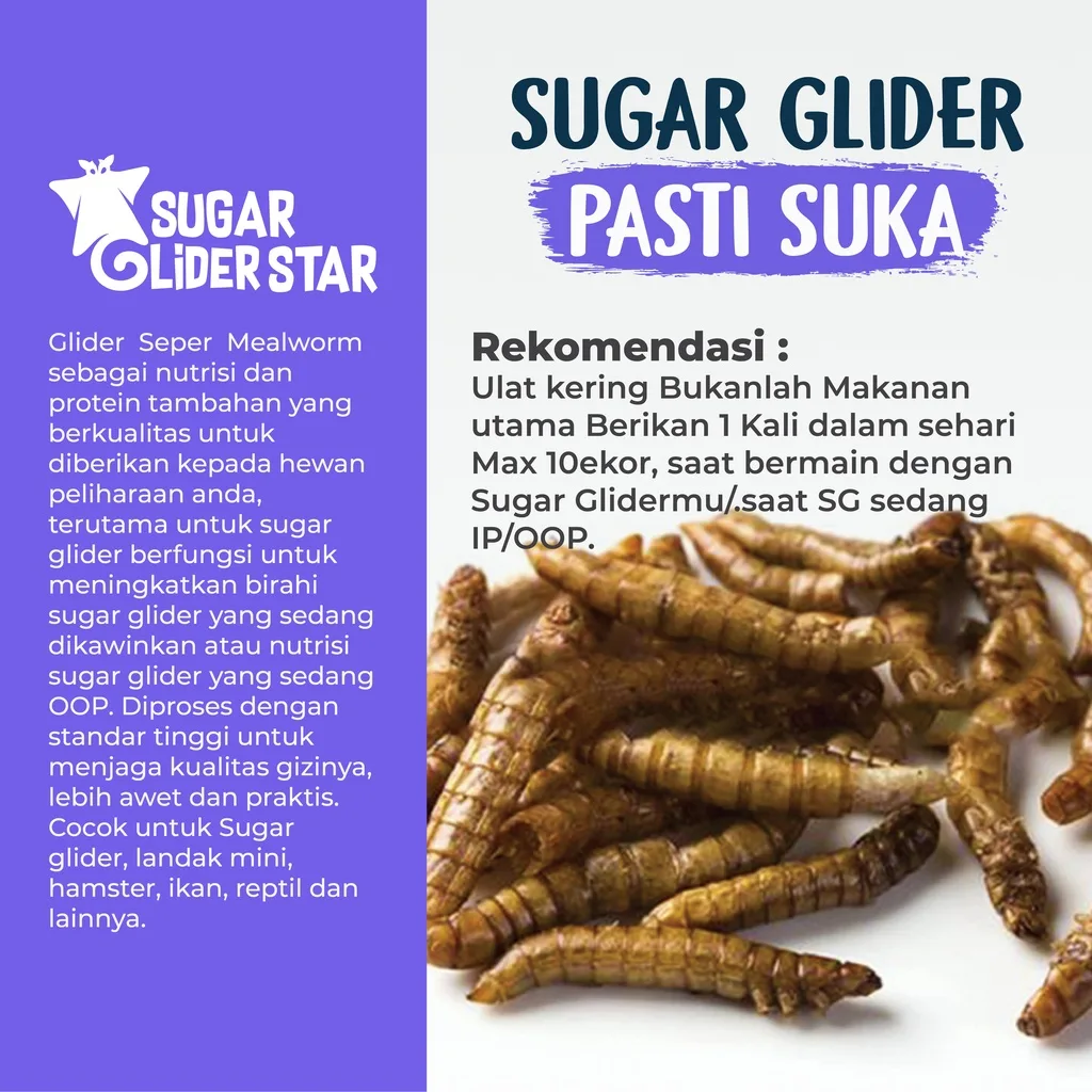 SUGAR GLIDER STAR Ulat Jerman Kering Cemilan Sugar Glider