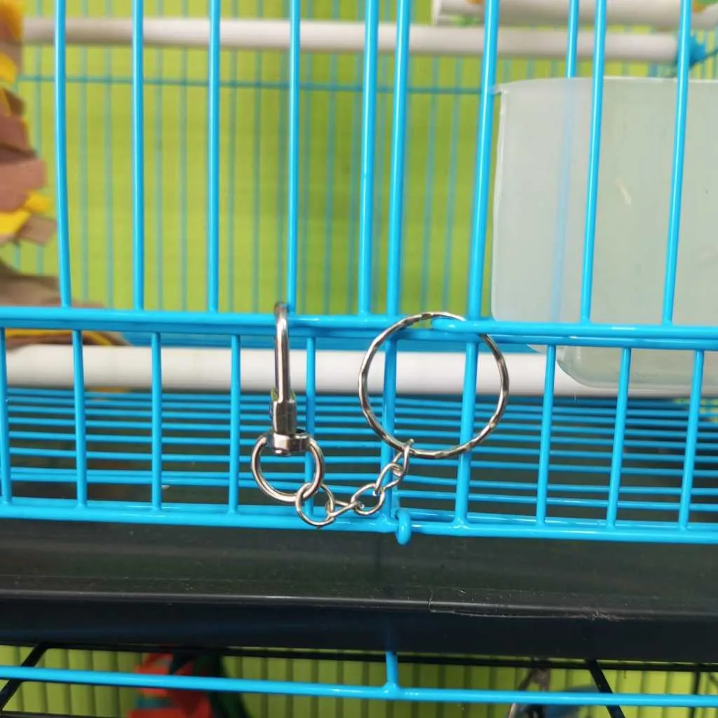 SUGAR GLIDER STAR Kunci Kandang Sugar Glider