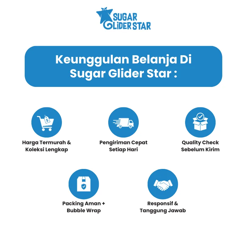 ADEWAP GLIDER Helm Aksesoris Selfi Hewan Peliharaan Topi Sugar Glider