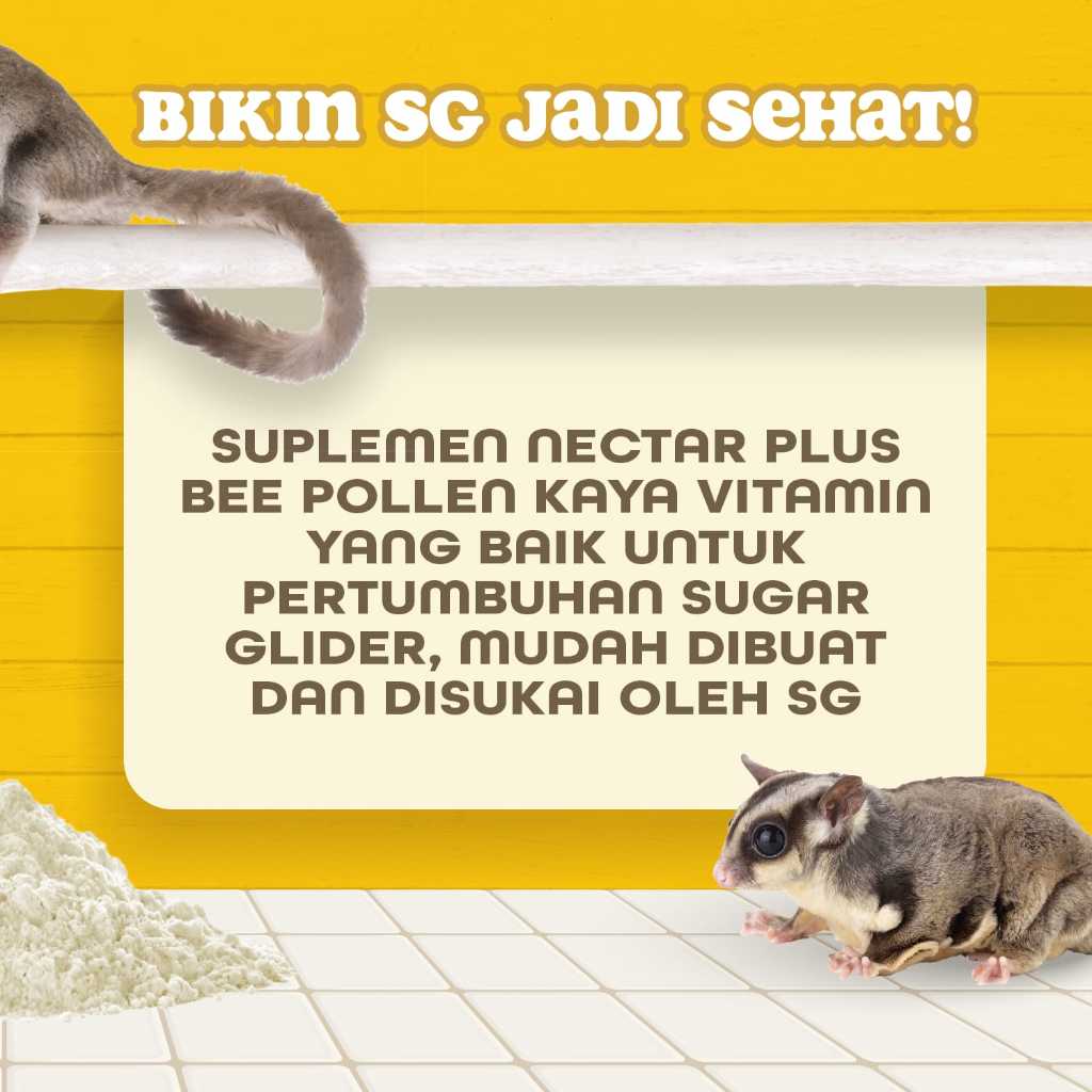 SUGAR GLIDER STAR Glider Nectar Bee Pollen Plus Vitamin Sugar Glider