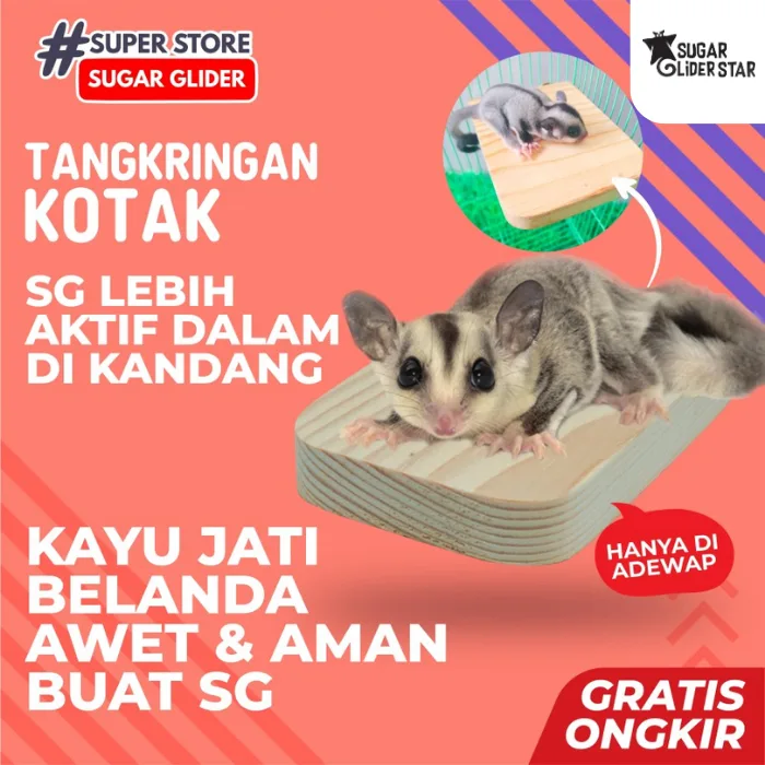ADEWAP GLIDER Tangkringan Kandang Hewan Kotak Sugar Glider