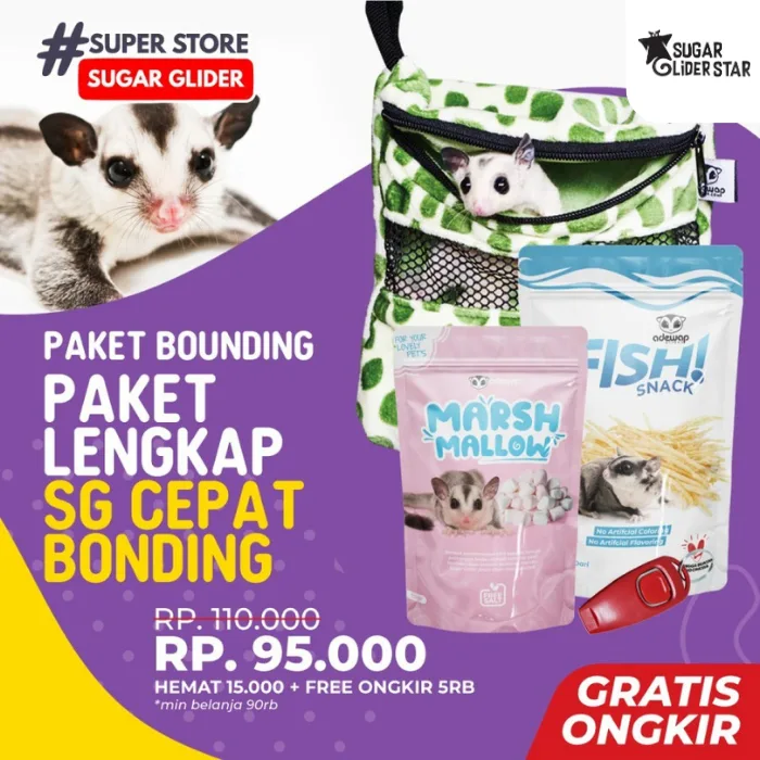 ADEWAP GLIDER Paket Bounding Sugar Glider Lengkap