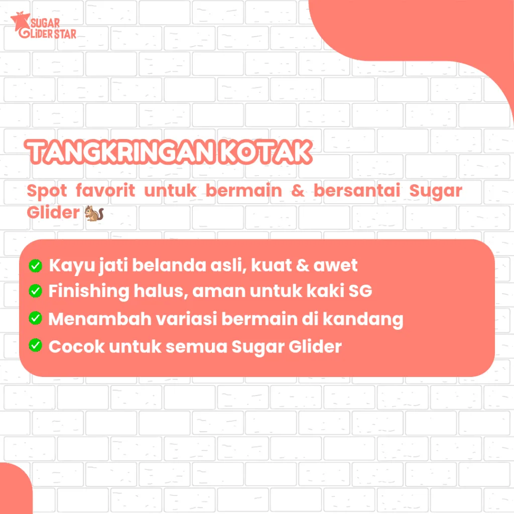 ADEWAP GLIDER Tangkringan Kandang Hewan Kotak Sugar Glider