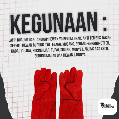 SUGAR GLIDER STAR Pet Gloves Safety Sarung Tangan Handle Sugar Glider