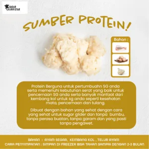 ADEWAP GLIDER Frozen Food Bunga Kol Meatball Glider Chicken For Sugar Glider