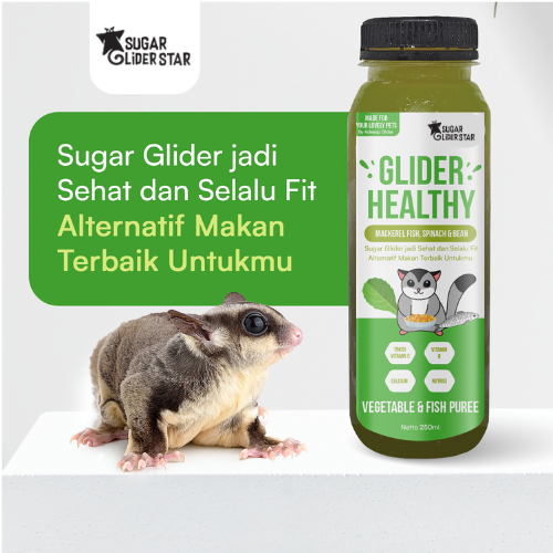 GLIDER HEALTHY VEGETABLE & FISH PUREE BUBUR SEHAT BAHAN ALAMI MACKEREL FISH SPINACH & BEAN 250 ML