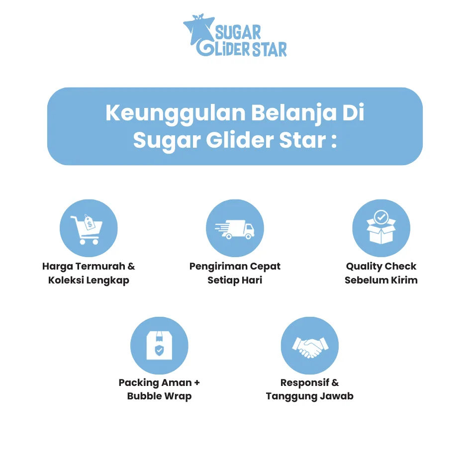 ADEWAP GLIDER Dispenser Tempat Minum Makan Sugar Glider
