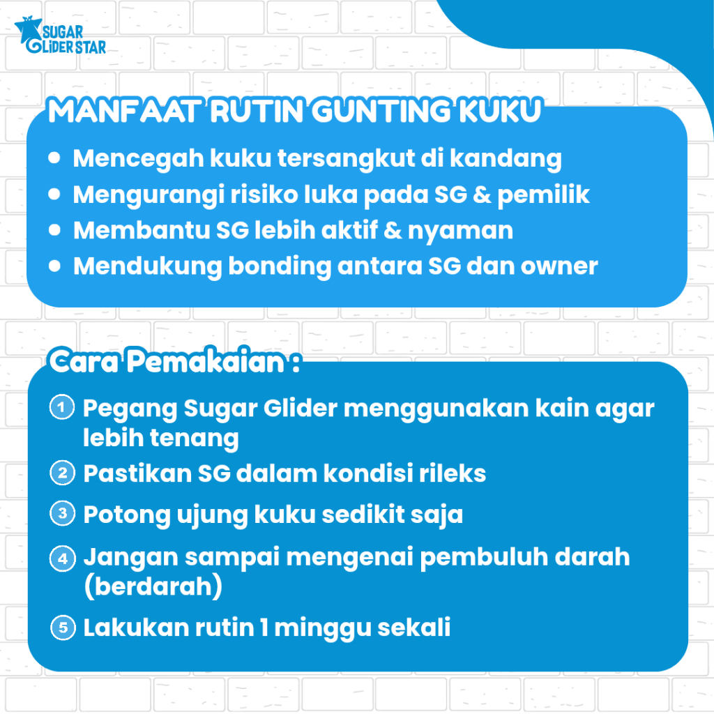 SUGAR GLIDER STAR Gunting Kuku Hewan Sugar Glider Stainless steel