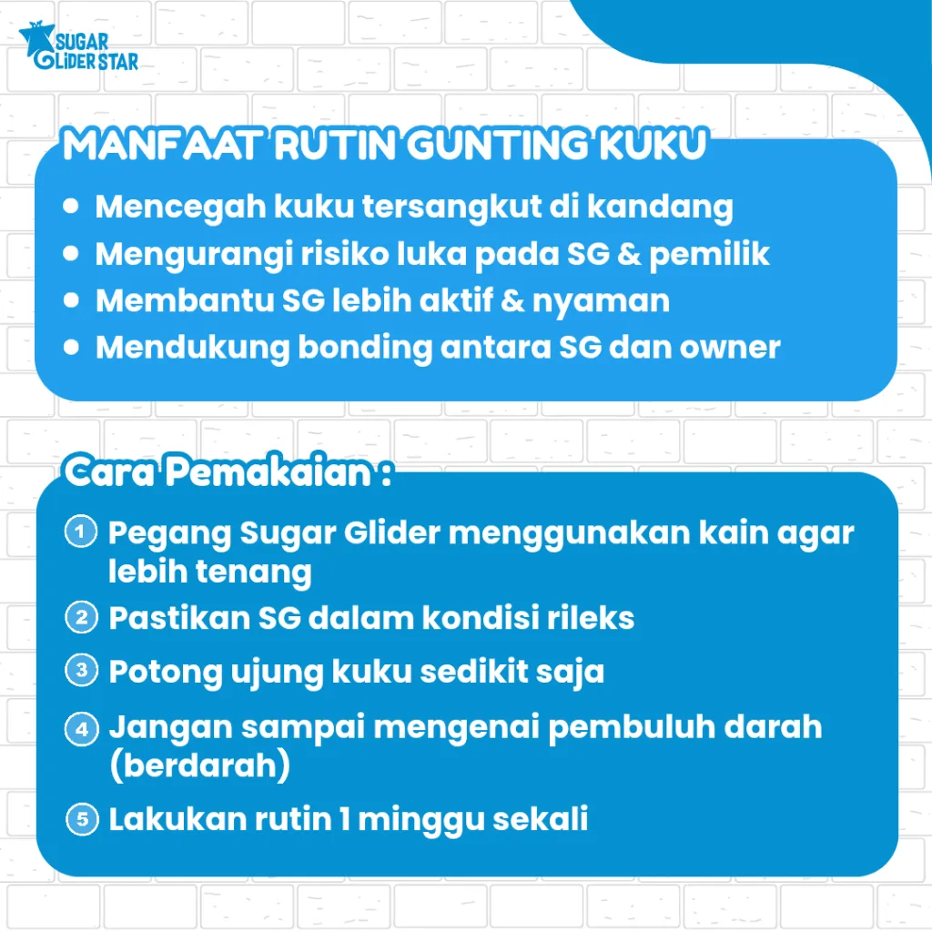 ADEWAP GLIDER Gunting Kuku Besi Nail Trimmer Clipers Sugar Glider
