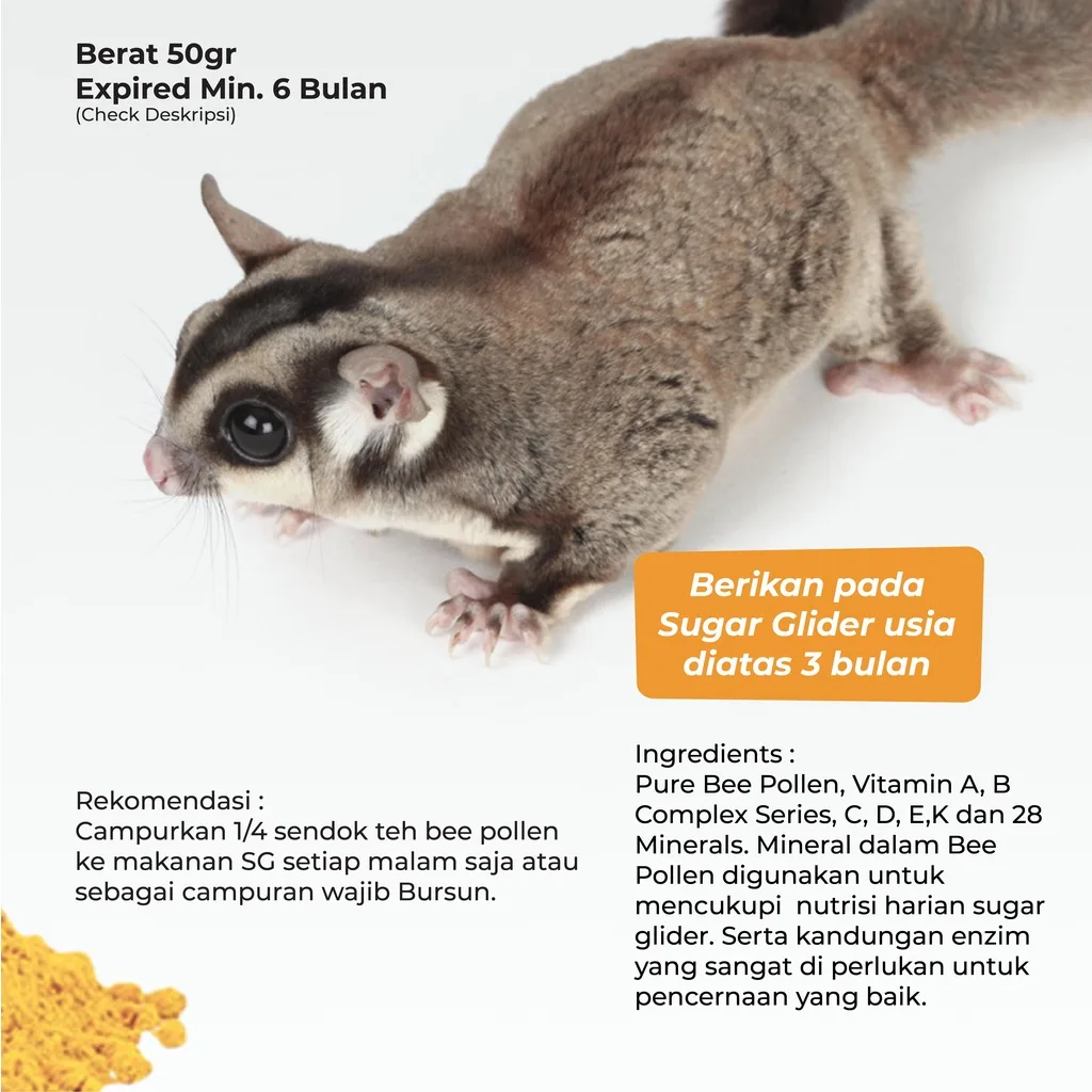 SUGAR GLIDER STAR Premium Bee Pollen Suplemen Vitamin Sugar Glider 50gr