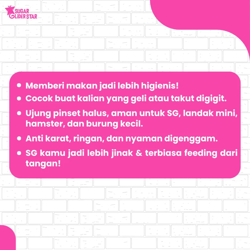 ADEWAP GLIDER Pinset Feeding Makanan Sugar Glider