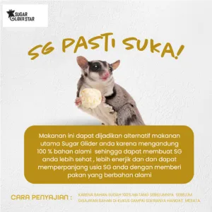 ADEWAP GLIDER Frozen Food Bunga Kol Meatball Glider Chicken For Sugar Glider