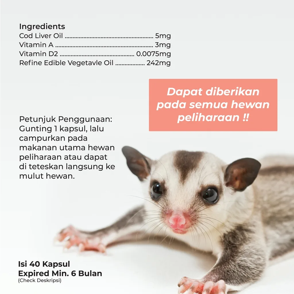 SUGAR GLIDER STAR Minyak Ikan Vitamin Sugar Glider 40 butir