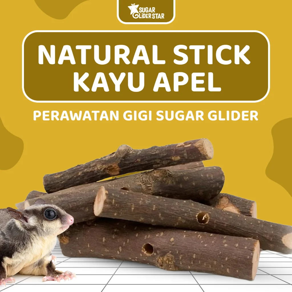 SUGAR GLIDER STAR Kayu Apel Asli Gigitan Gigi Sugar Glider Isi 5 Batang