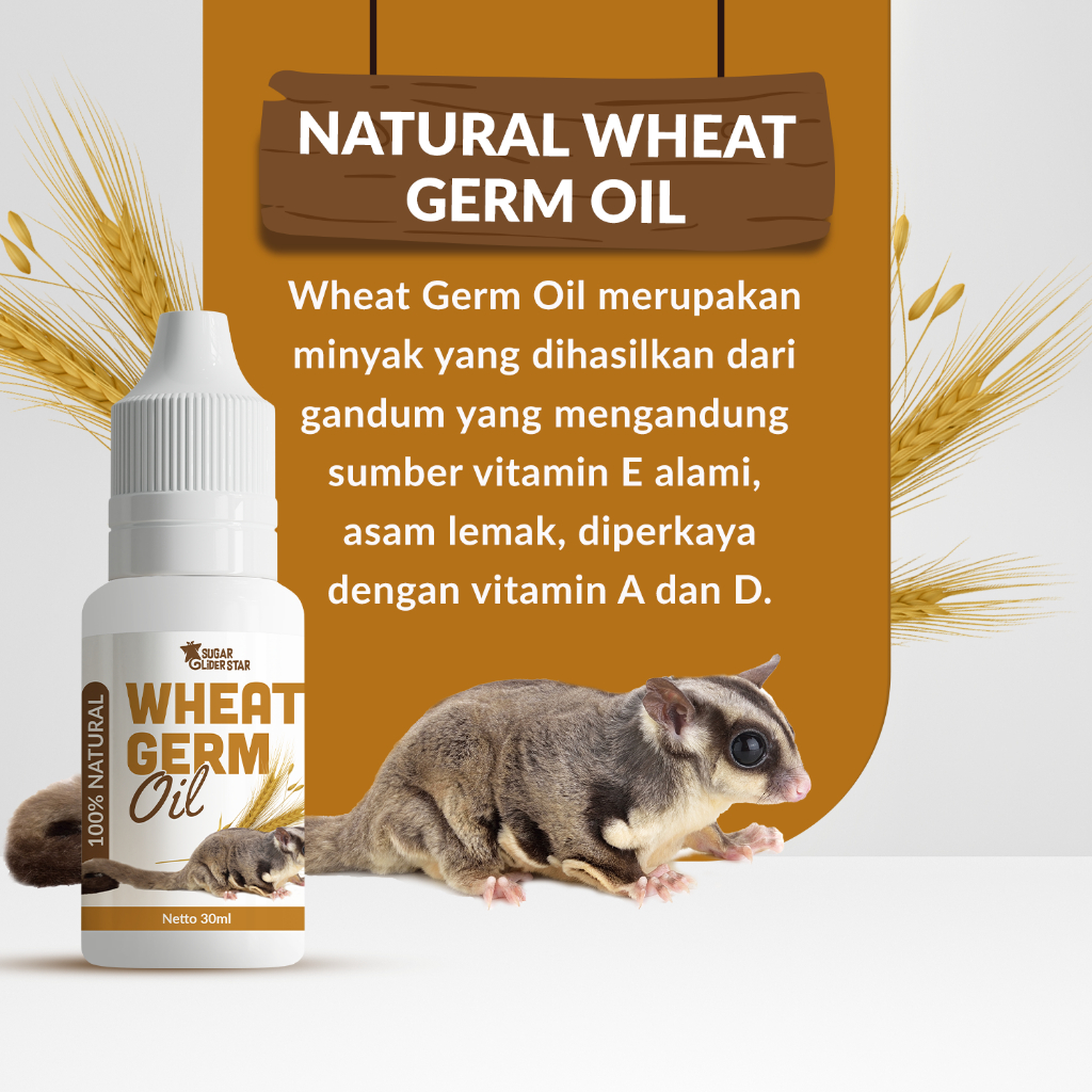 SUGAR GLIDER STAR Wheat Germ Oil Vitamin Lengkap Sugar Glider 30ml