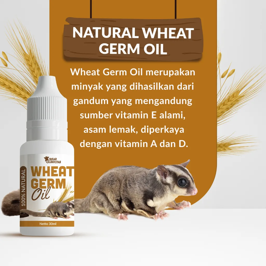 SUGAR GLIDER STAR Wheat Germ Oil Vitamin Lengkap Sugar Glider 30ml
