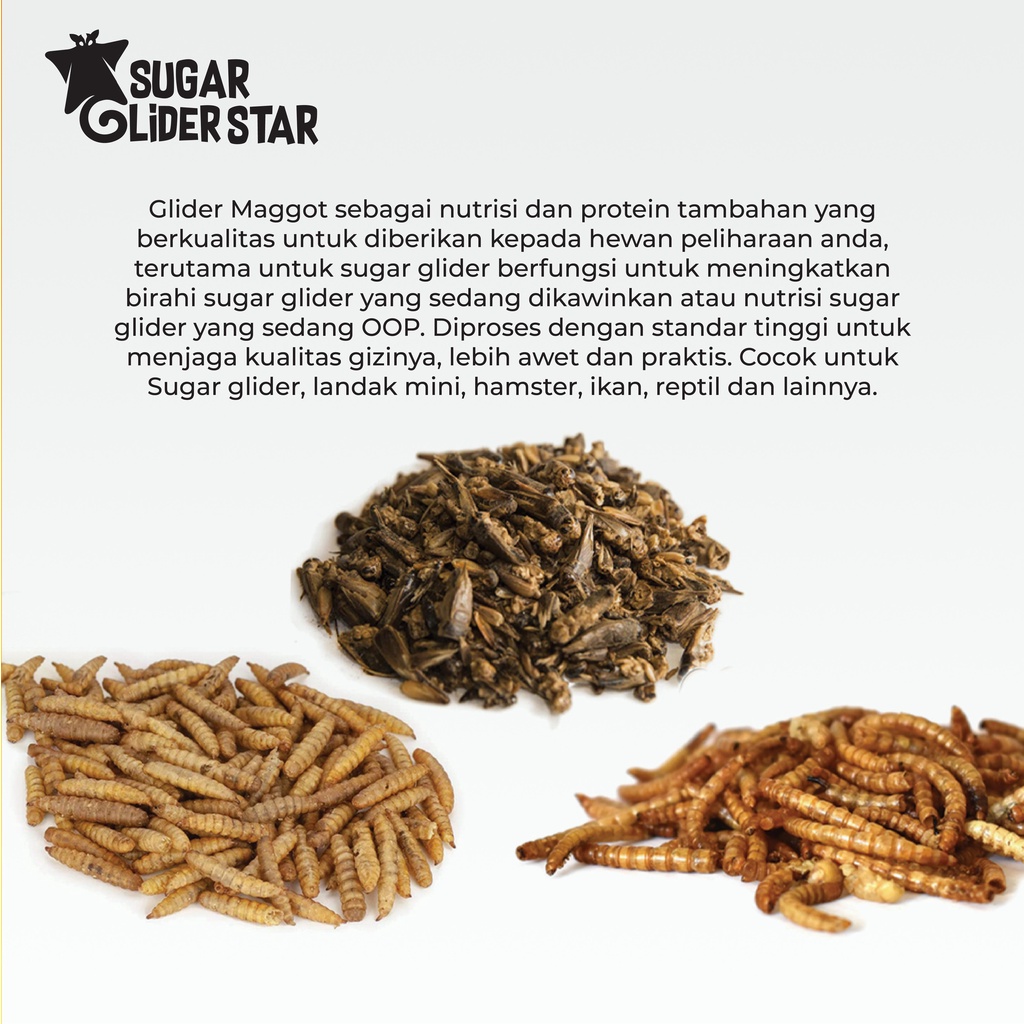 SUGAR GLIDER STAR Paket Serangga Kering Cemilan Protein Sugar Glider