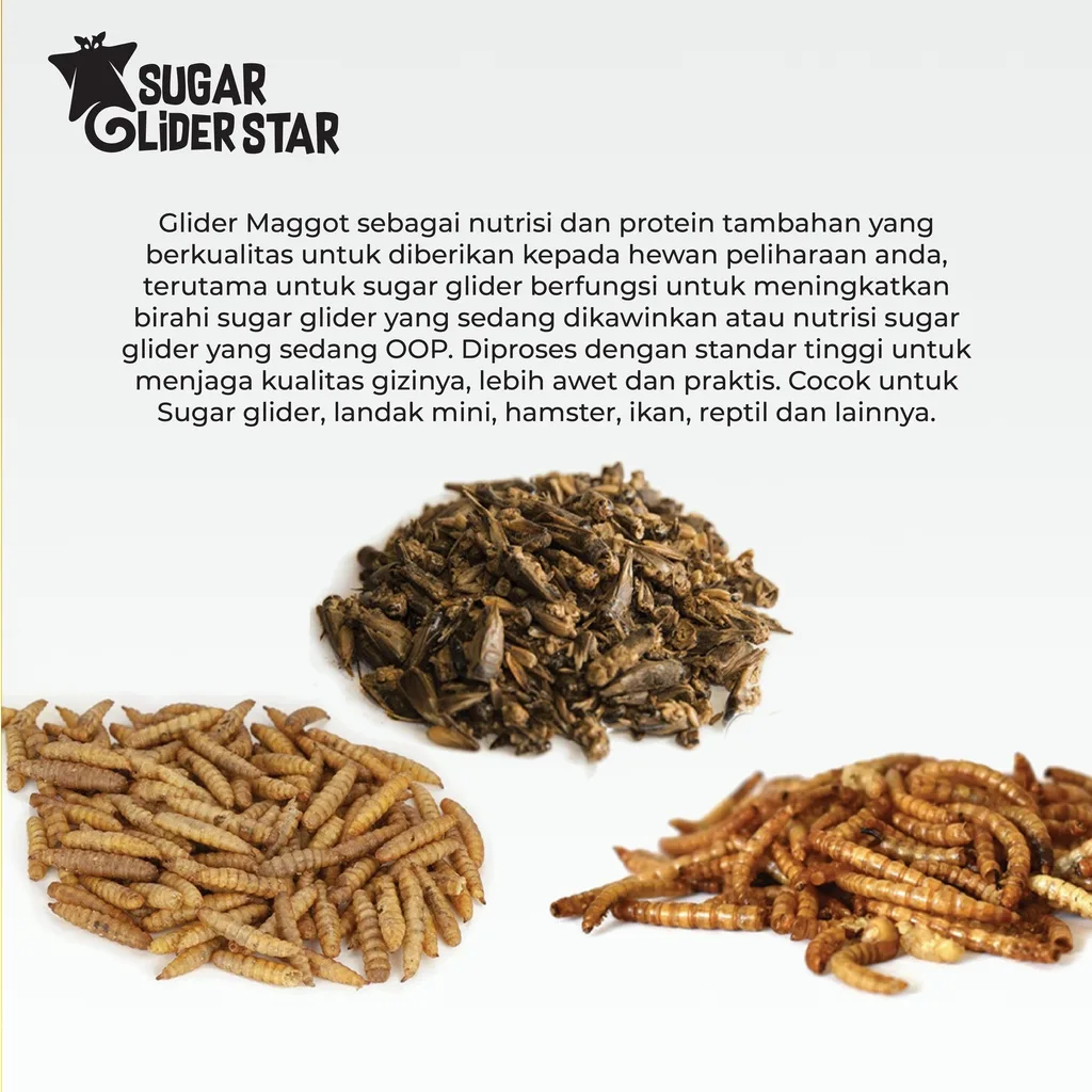 SUGAR GLIDER STAR Paket Serangga Kering Cemilan Protein Sugar Glider