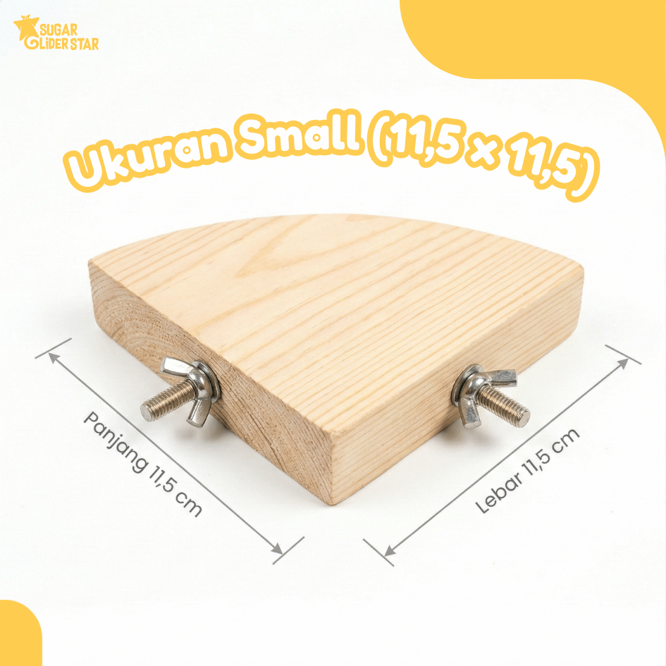 SUGAR GLIDER STAR Tangkringan Standing Sudut Kandang Sugar Glider