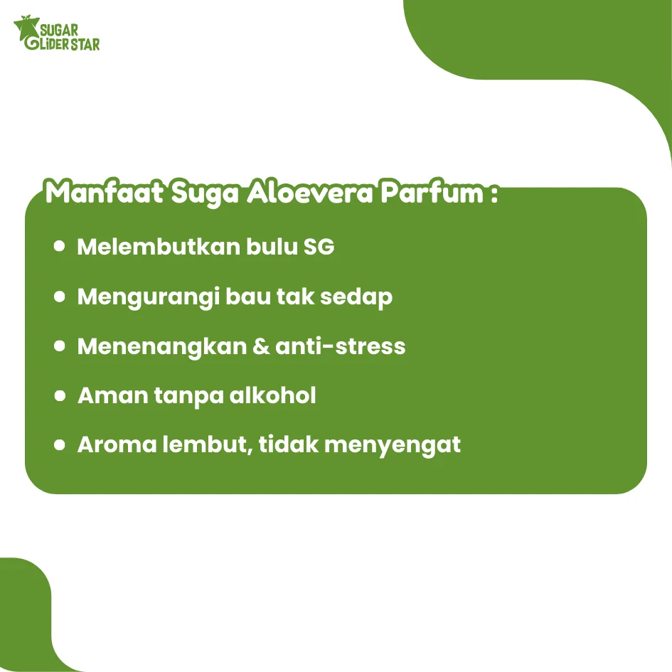 SUGAR GLIDER STAR Suga Aloevera Parfum Hewan Pengharum Sugar Glider