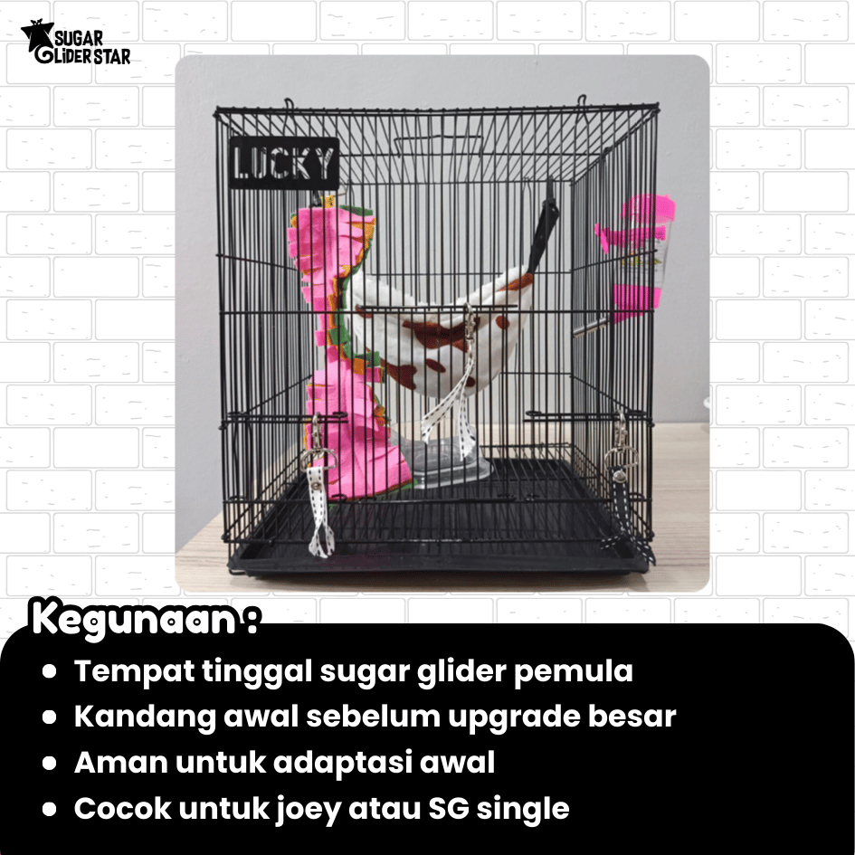 SUGAR GLIDER STAR Paket Kandang Small Perlengkapan Lengkap Aksesoris Sugar Glider