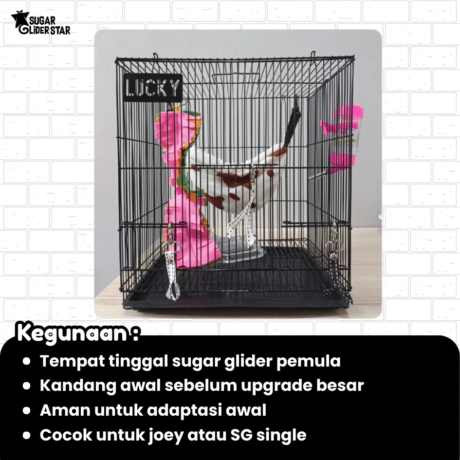 ADEWAP GLIDER Paket Hemat 7! Kandang Small Perlengkapan Pemeliharaan Sugar Glider