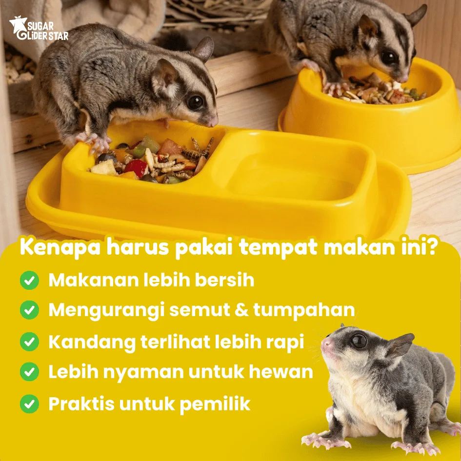ADEWAP GLIDER Tempat Makan Hewan Peliharaan Anti Semut Double