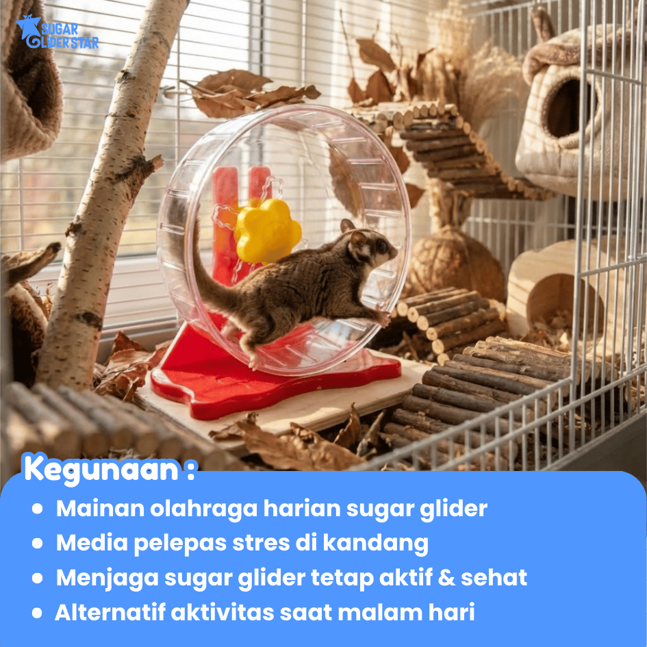 SUGAR GLIDER STAR Jogging Rolling Wheel Mainan Sugar Glider & Hamster