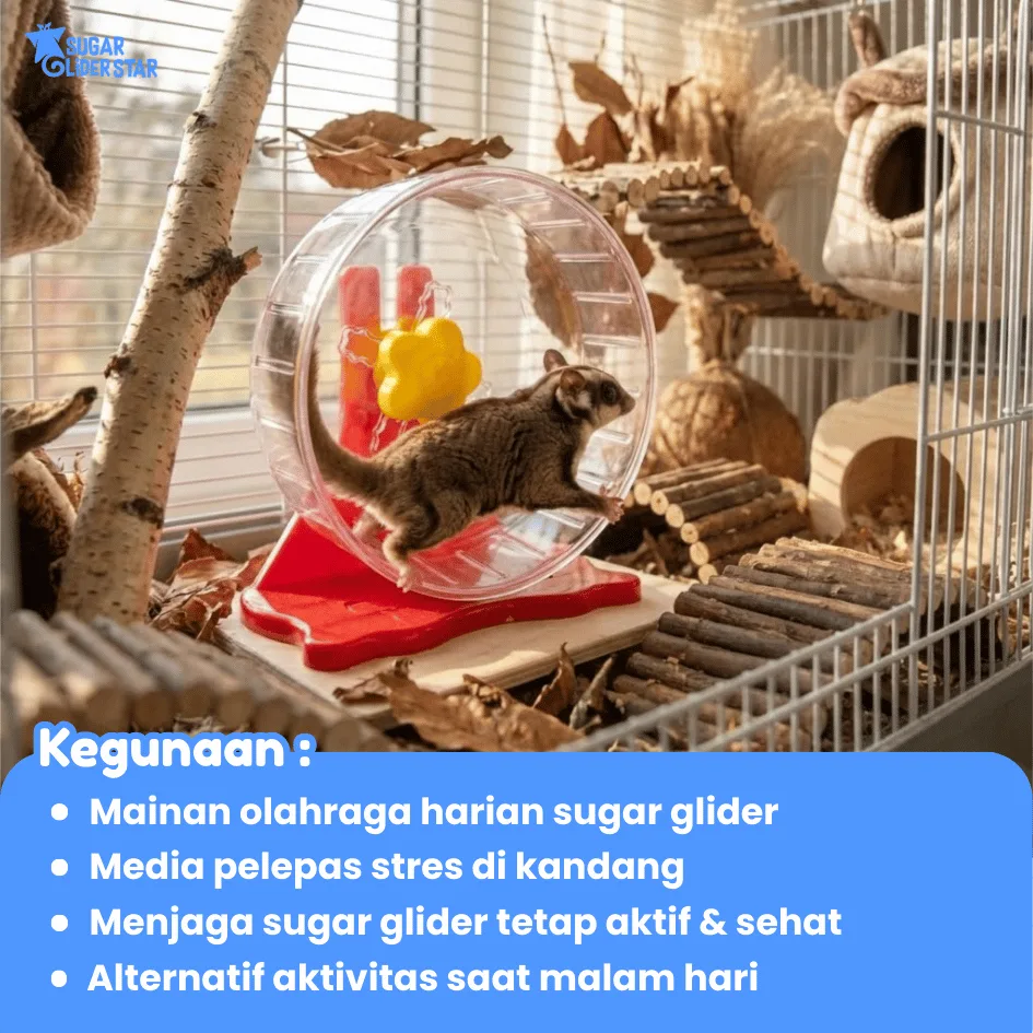 ADEWAP GLIDER Jogging Running Wheel Roda Putar Sugar Glider