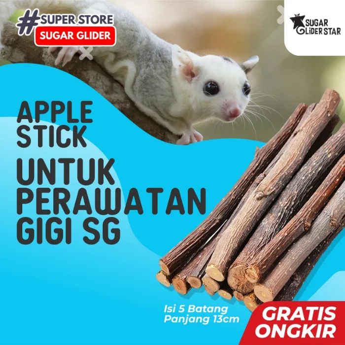 SUGAR GLIDER STAR Kayu Apel Asli Gigitan Gigi Sugar Glider Isi 5 Batang