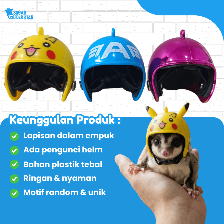 SUGAR GLIDER STAR Helm Sugar Glider Aksesoris Hewan