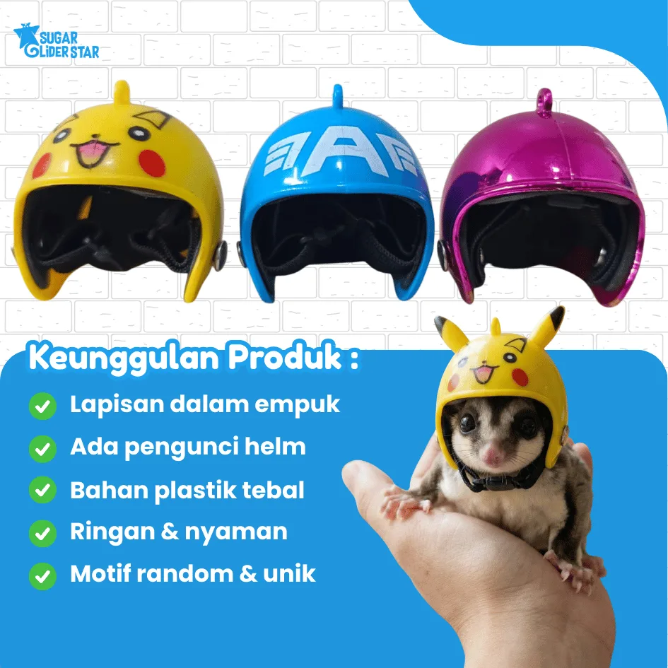 ADEWAP GLIDER Helm Aksesoris Selfi Hewan Peliharaan Topi Sugar Glider