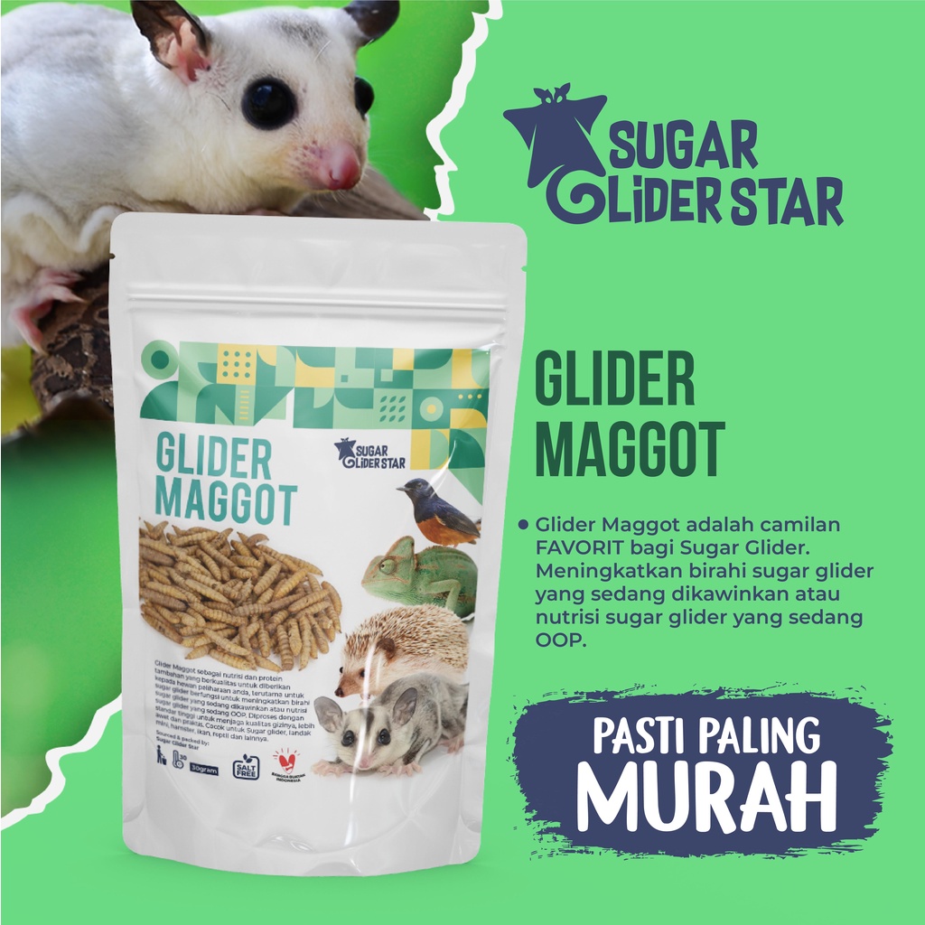 SUGAR GLIDER STAR Maggot Kering BSF Cemilan Makanan Sugar Glider 35gr