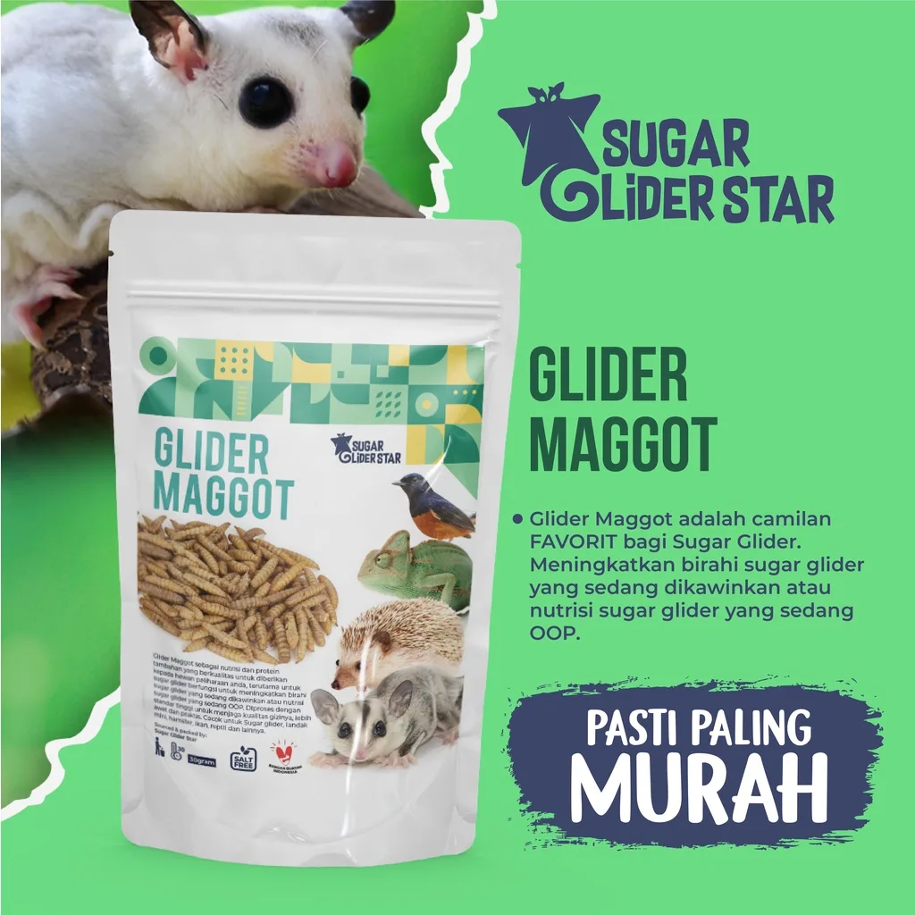SUGAR GLIDER STAR Maggot Kering BSF Cemilan Makanan Sugar Glider 35gr