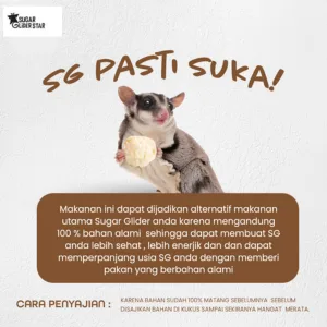 ADEWAP GLIDER Frozen Food Mix Veggie Meatball Glider Chicken For Sugar Glider