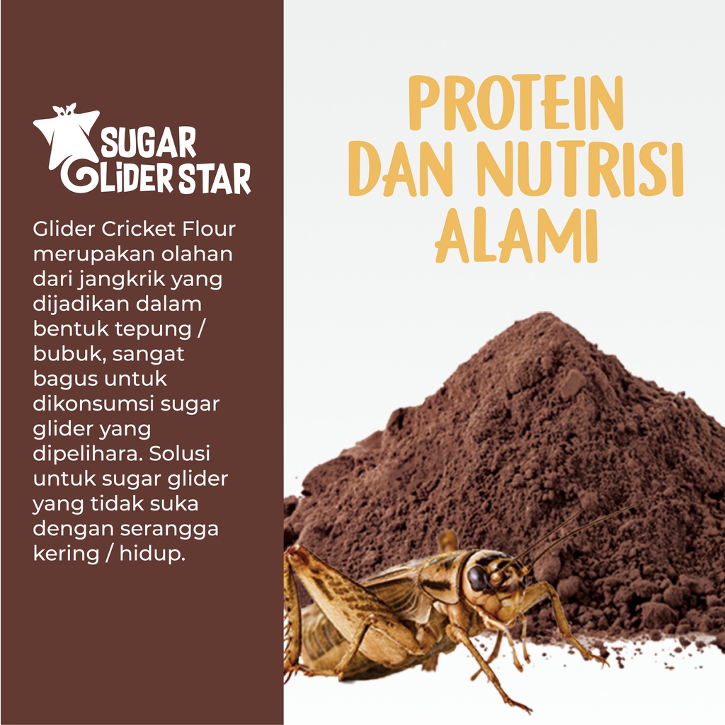 SUGAR GLIDER STAR Tepung Jangkrik Nutrisi Protein Sugar Glider