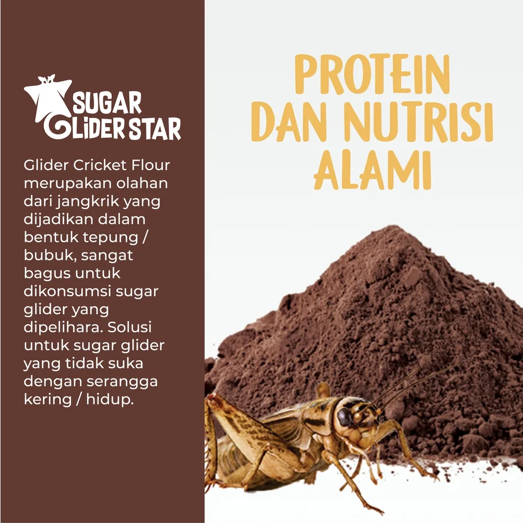 SUGAR GLIDER STAR Tepung Jangkrik Nutrisi Protein Sugar Glider