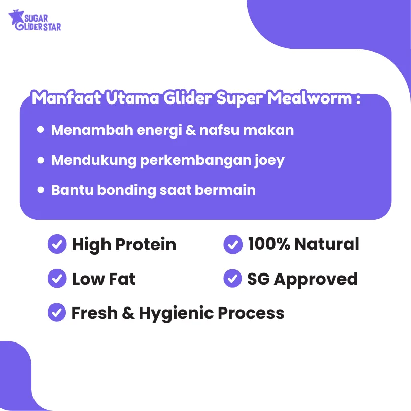 SUGAR GLIDER STAR Ulat Jerman Kering Cemilan Sugar Glider