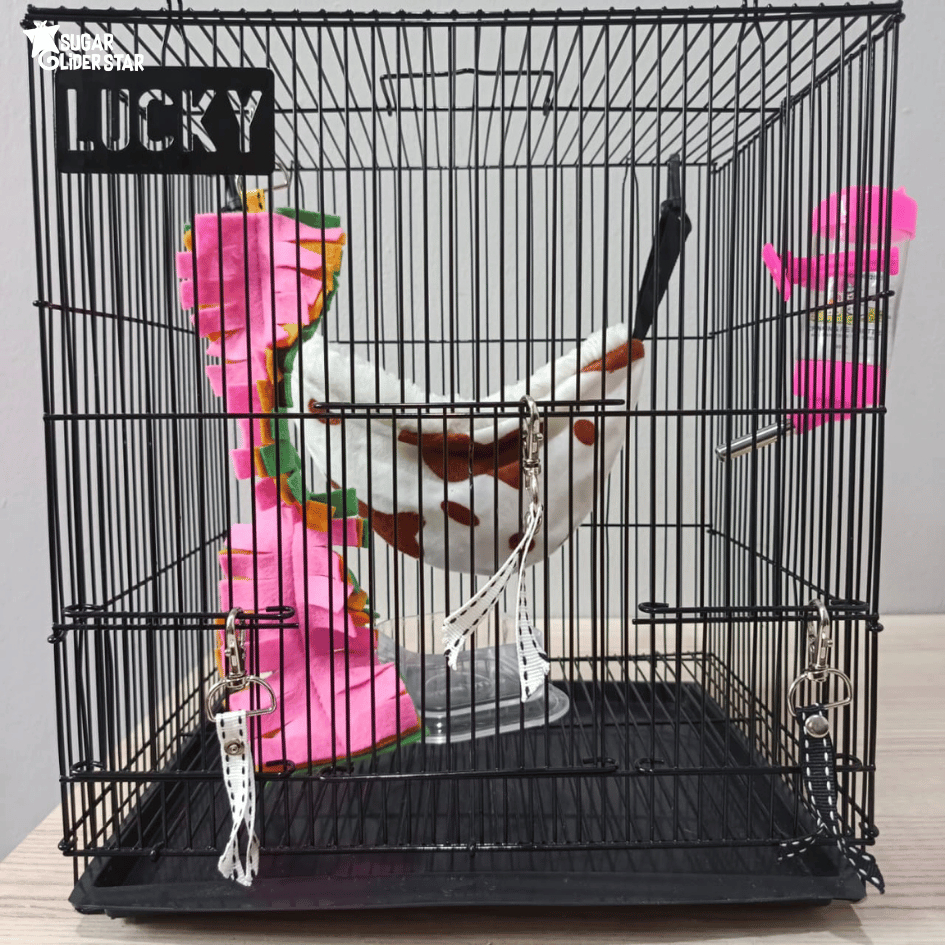 SUGAR GLIDER STAR Paket Kandang Small Perlengkapan Lengkap Aksesoris Sugar Glider