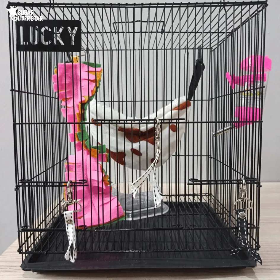 ADEWAP GLIDER Paket Hemat 7! Kandang Small Perlengkapan Pemeliharaan Sugar Glider