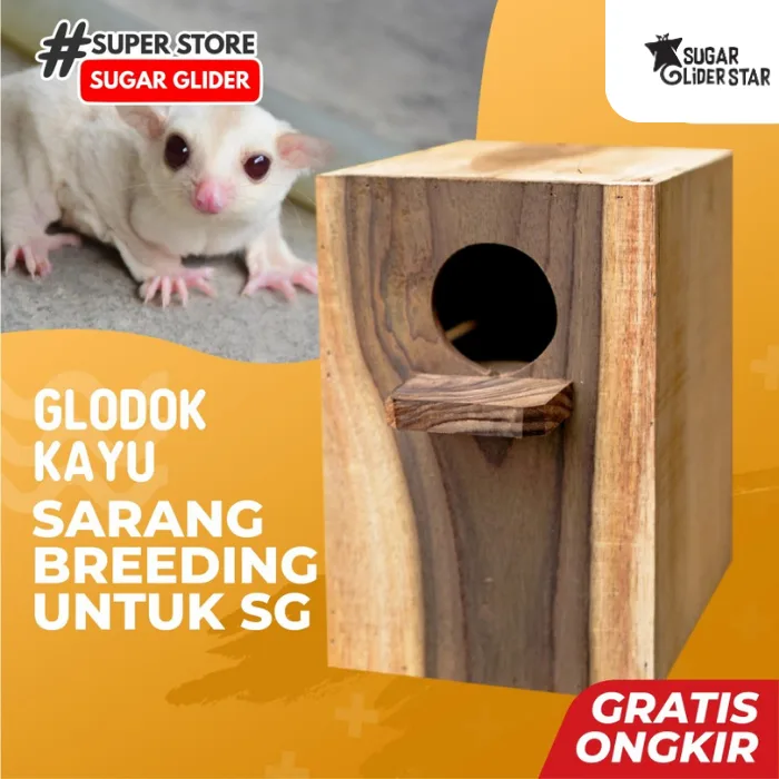 ADEWAP GLIDER Glodok Kayu Tempat Sembunyi Sugar Glider