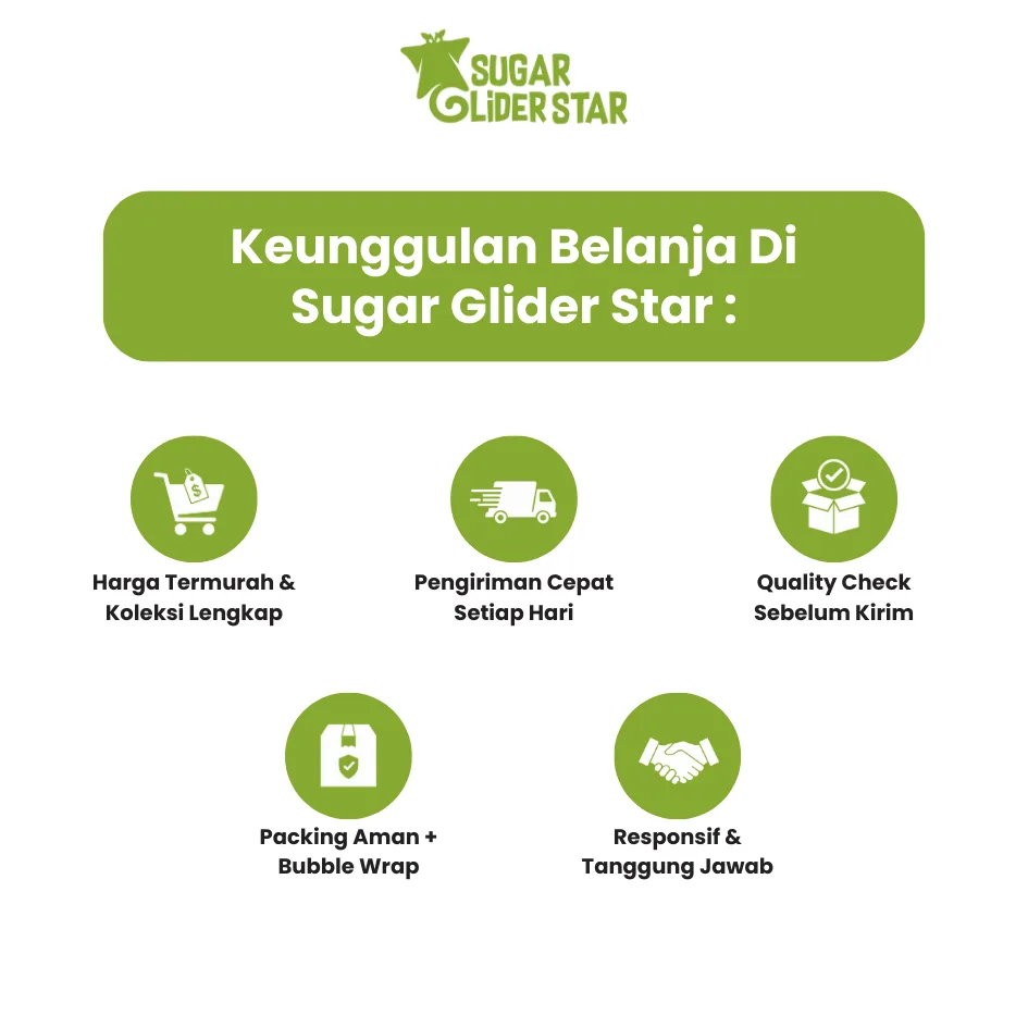 ADEWAP GLIDER Paket Hemat 2 Nutrisi Protein Wajib Sugar Glider