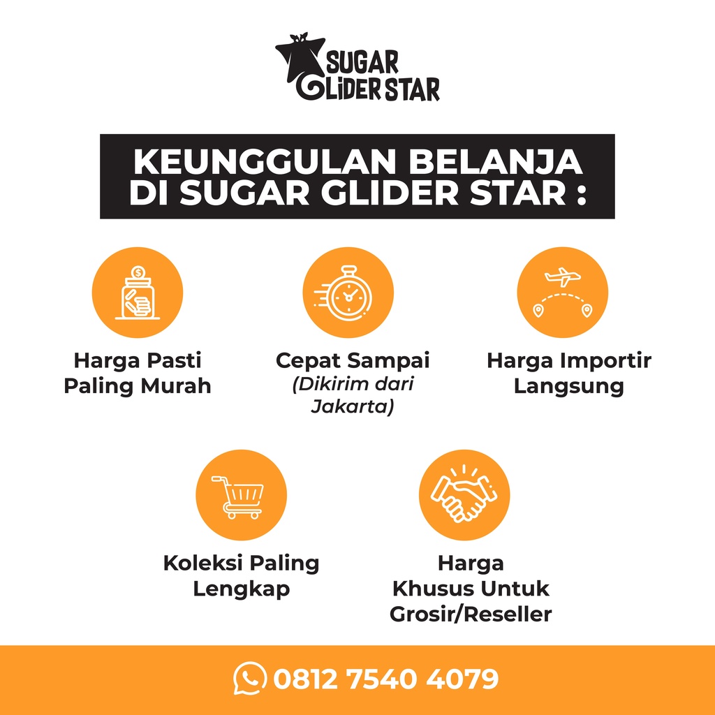 SUGAR GLIDER STAR Tempat Makan Anti Slip Sugar Glider