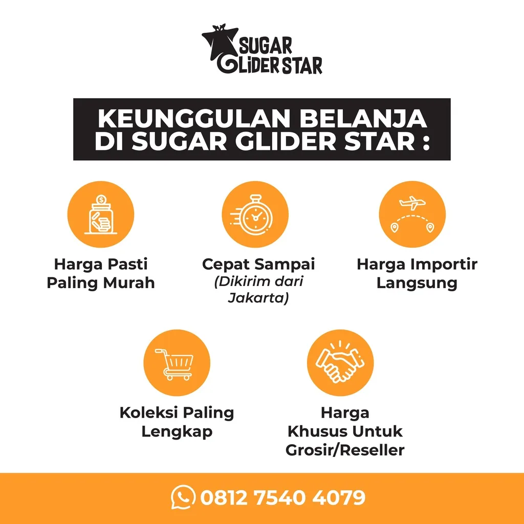 ADEWAP GLIDER Tempat Makan Bulat Sugar Glider