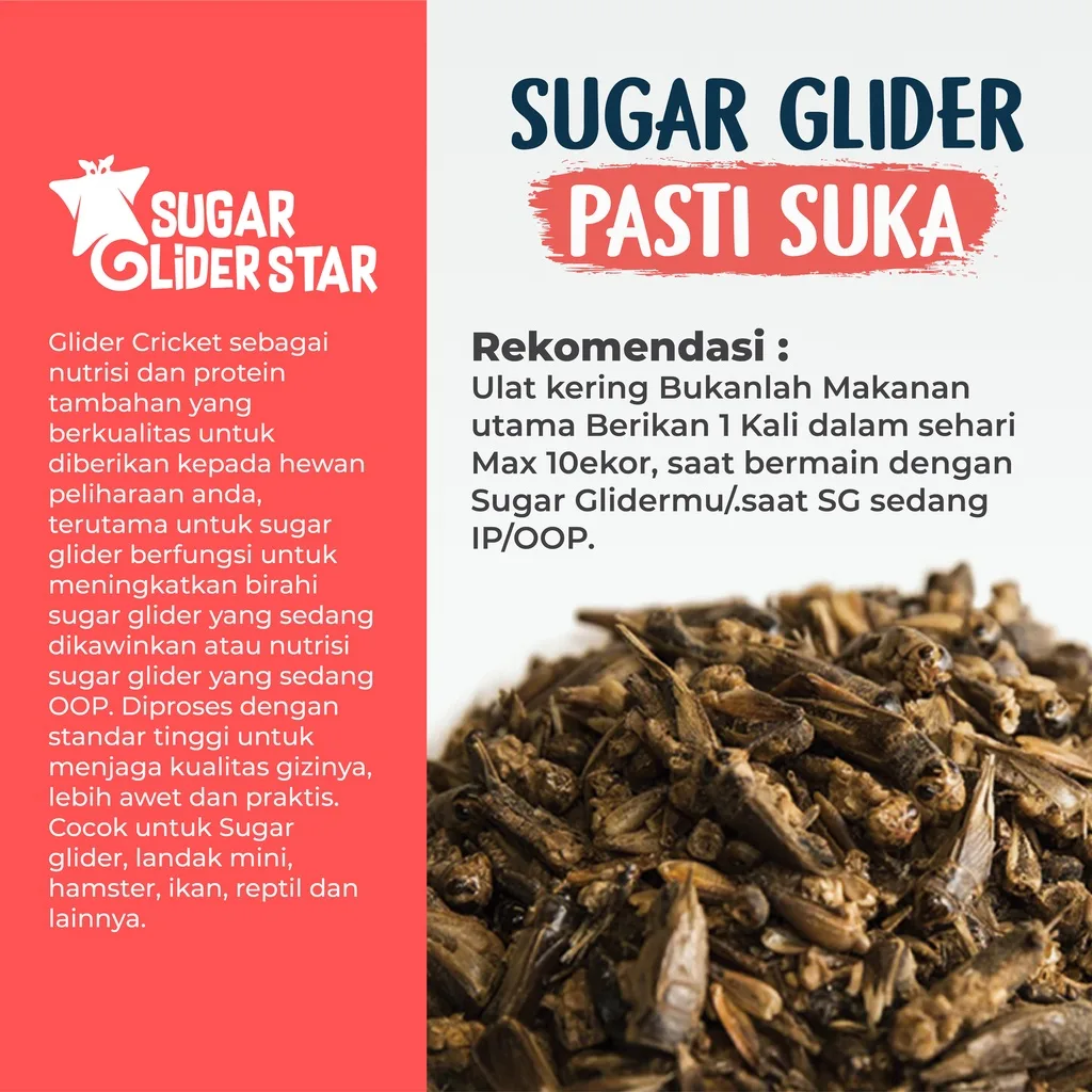 SUGAR GLIDER STAR Jangkrik Kering Makanan Cemilan Sugar Glider 40gr