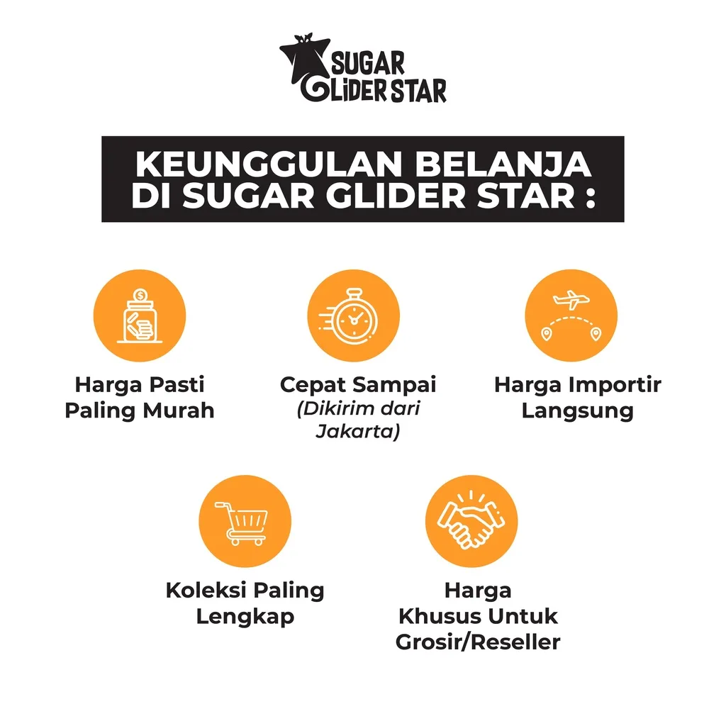 ADEWAP GLIDER Rantai Mainan Plastik Geometri Aksesoris Kandang Sugar Glider