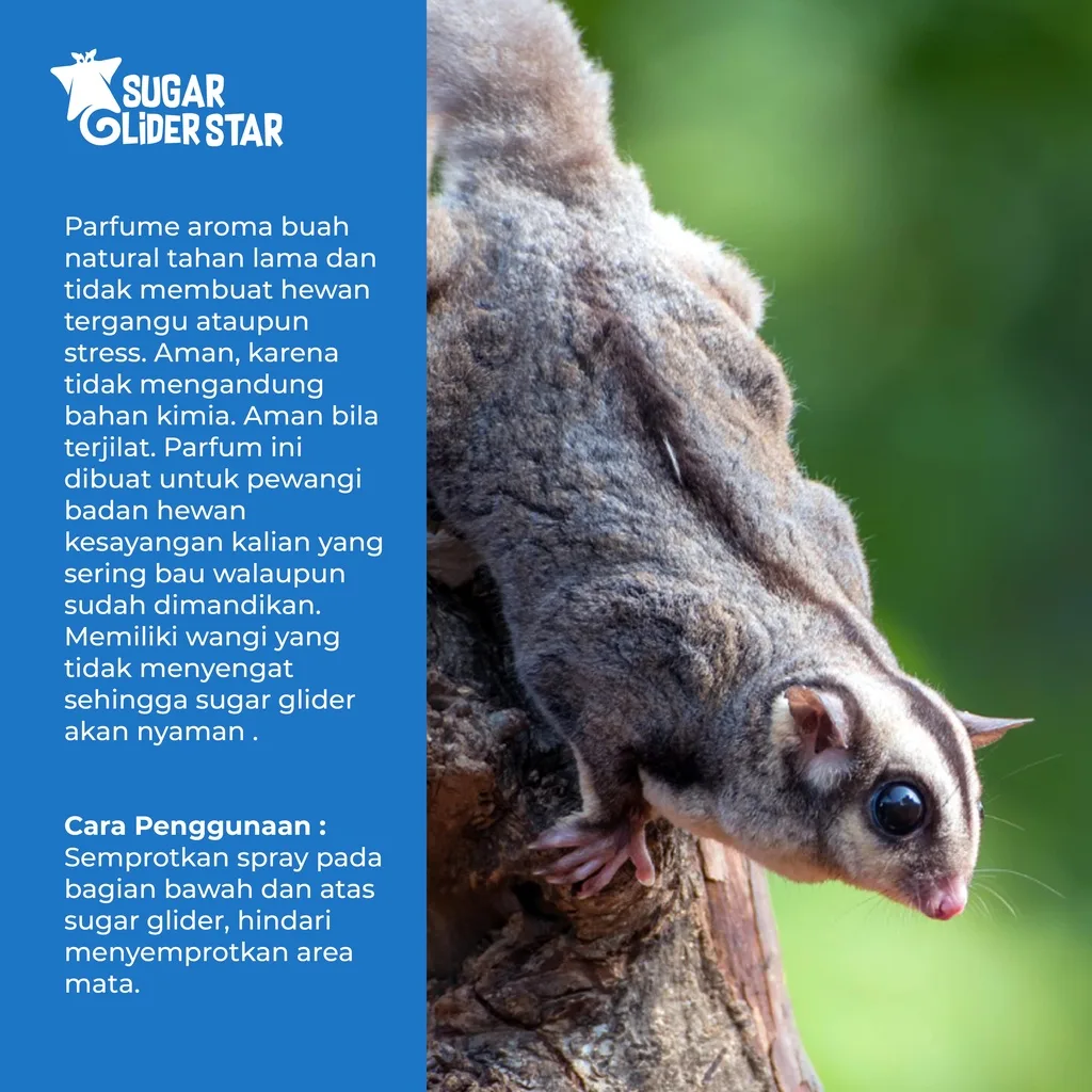 SUGAR GLIDER STAR Glider Parfum Pewangi Hewan Sugar Glider 30ml